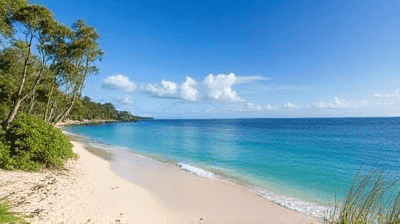 Australia's East Coast Highlights: Sydney to Cairns – Best Beaches, Dive Sites & Backpacker Secrets