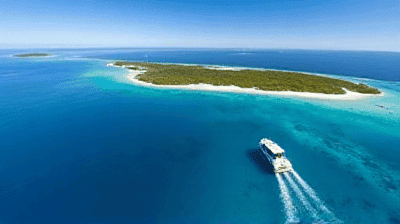 The Great Barrier Reef Guide: Snorkeling vs. Diving, Best Liveaboard Tours & Conservation Tips
