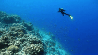 The Great Barrier Reef Guide: Snorkeling vs. Diving, Best Liveaboard Tours & Conservation Tips